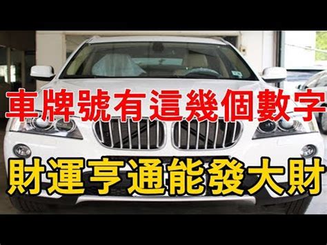 大吉車牌號碼2024|車牌吉數 2024版